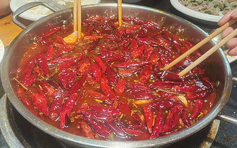 20251209180257125429.jpg _c8cdabd803e9d0601cc867ef4ea3f585_760611741_IMG_20230825_161159.jpg